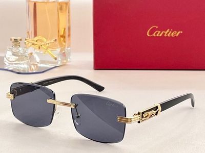 Cartier Sunglasses 778